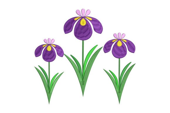 Purple Iris Flower
